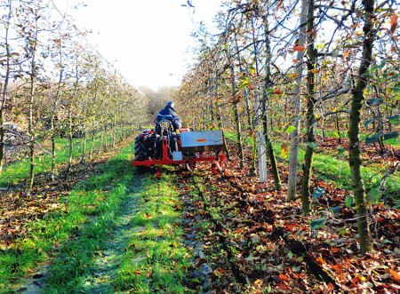 Interratore di concimi per vigneti e frutteti  